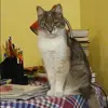 Отзыв от Ираида Калугина